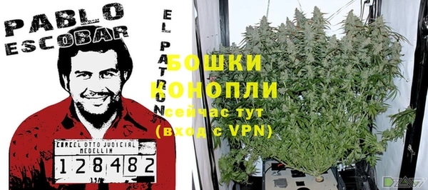 МДПВ Медвежьегорск