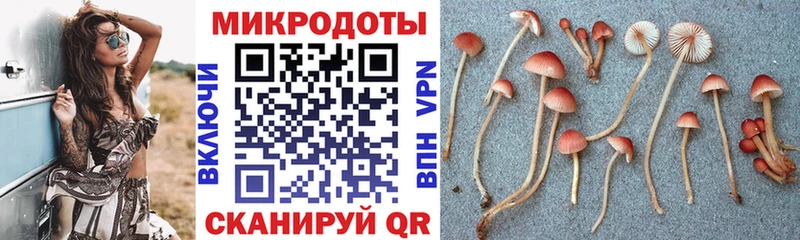 цена   MEGA маркетплейс  Псилоцибиновые грибы MAGIC MUSHROOMS  Нестеровская 